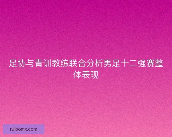 足协与青训教练联合分析男足十二强赛整体表现